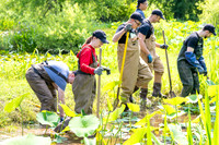 PayPal Impact Day 2025